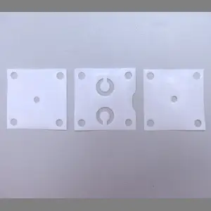 Diaphragm Repair Kit, B161 / B165 pump